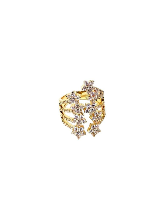 Anello Shiny